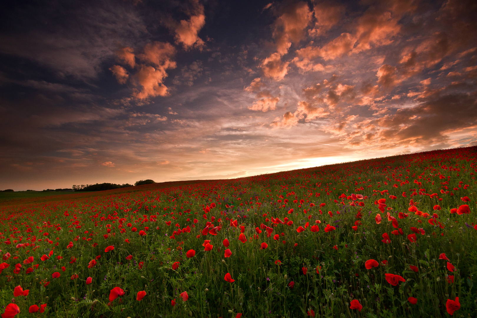 Rotes Meer