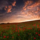 Rotes Meer