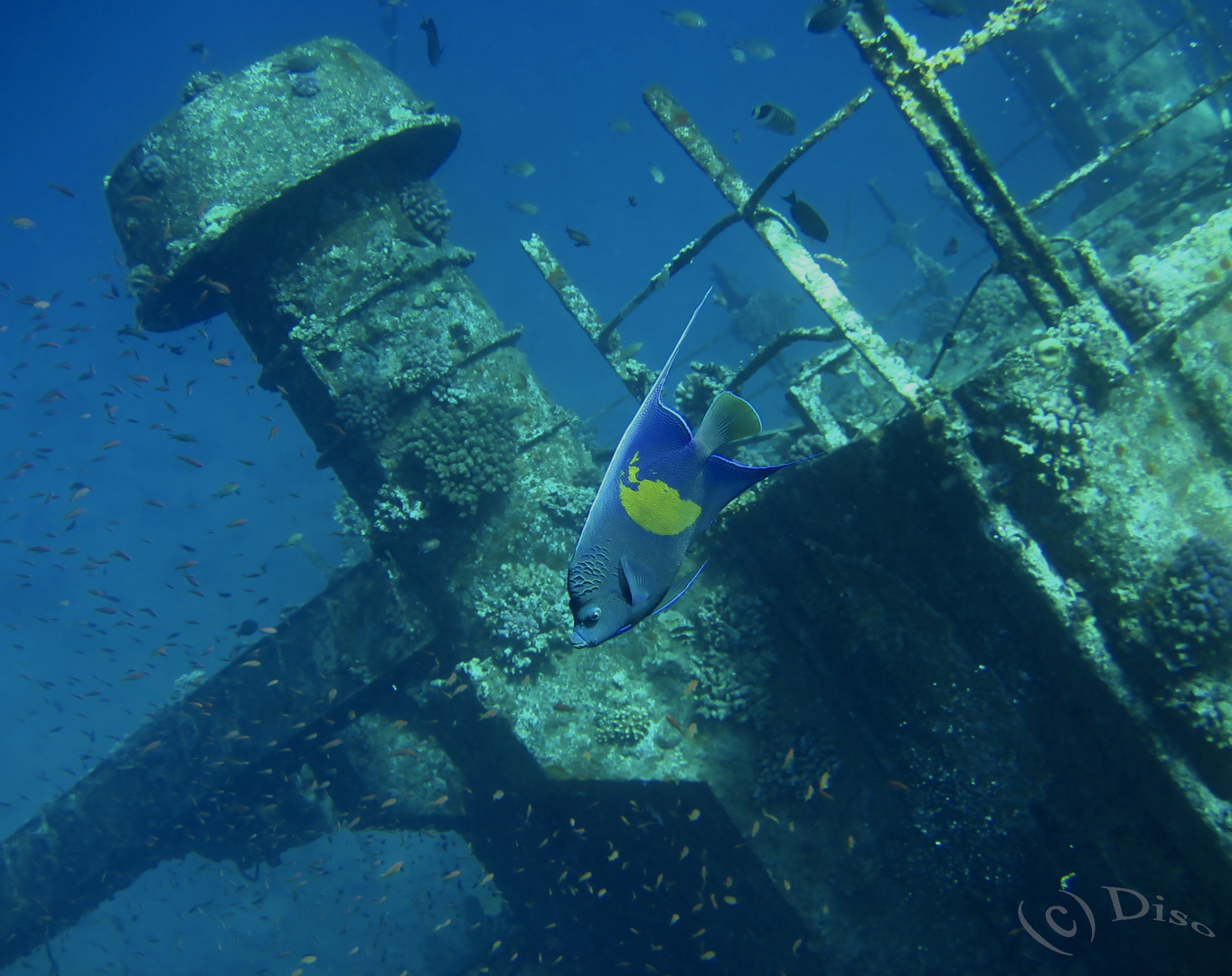 Rotes Meer (Hurghada )