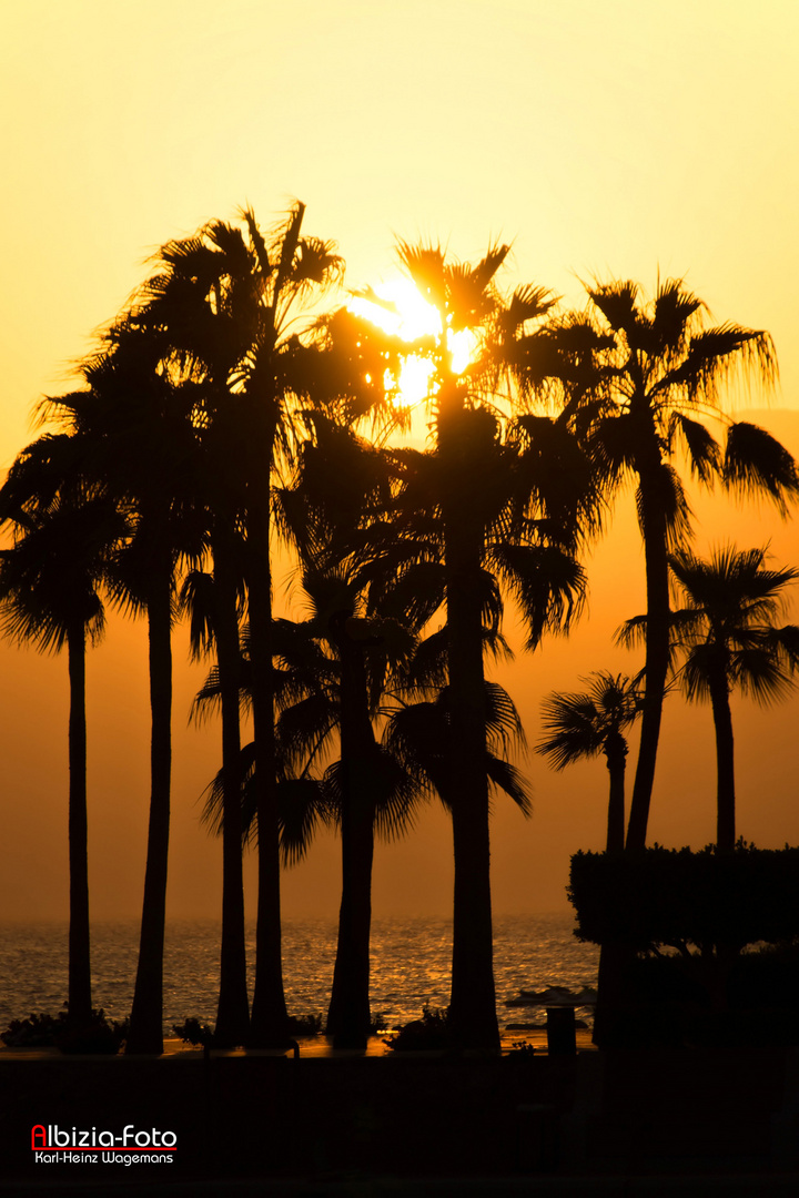 Rotes Meer - Tala Bay - Aqaba (Jordanien)