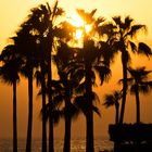 Rotes Meer - Tala Bay - Aqaba (Jordanien)