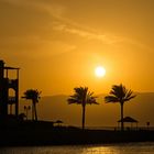 Rotes Meer - Tala Bay - Aqaba (Jordanien)