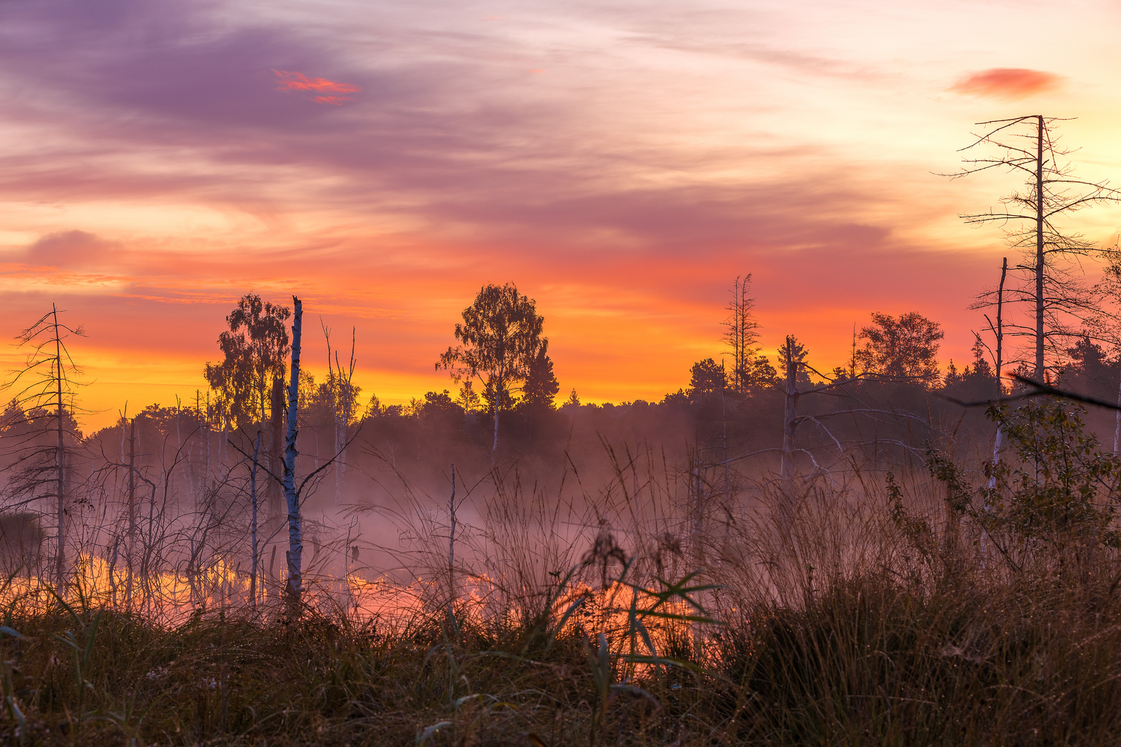 Rotes Moor