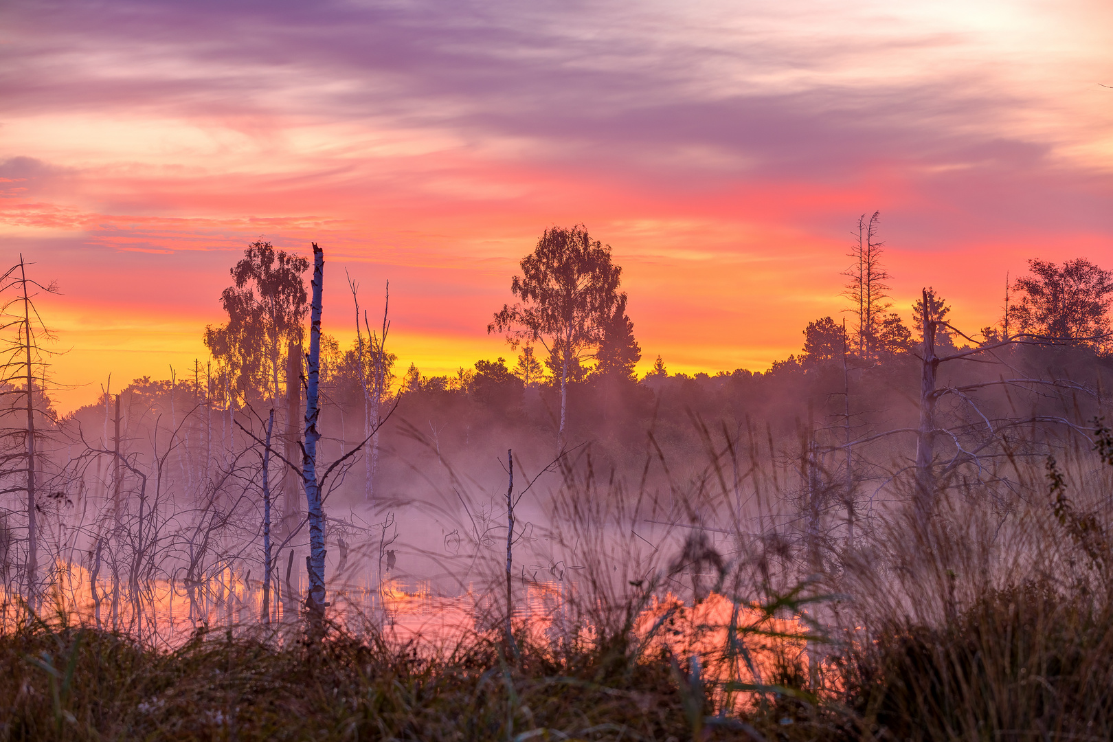 Rotes Moor