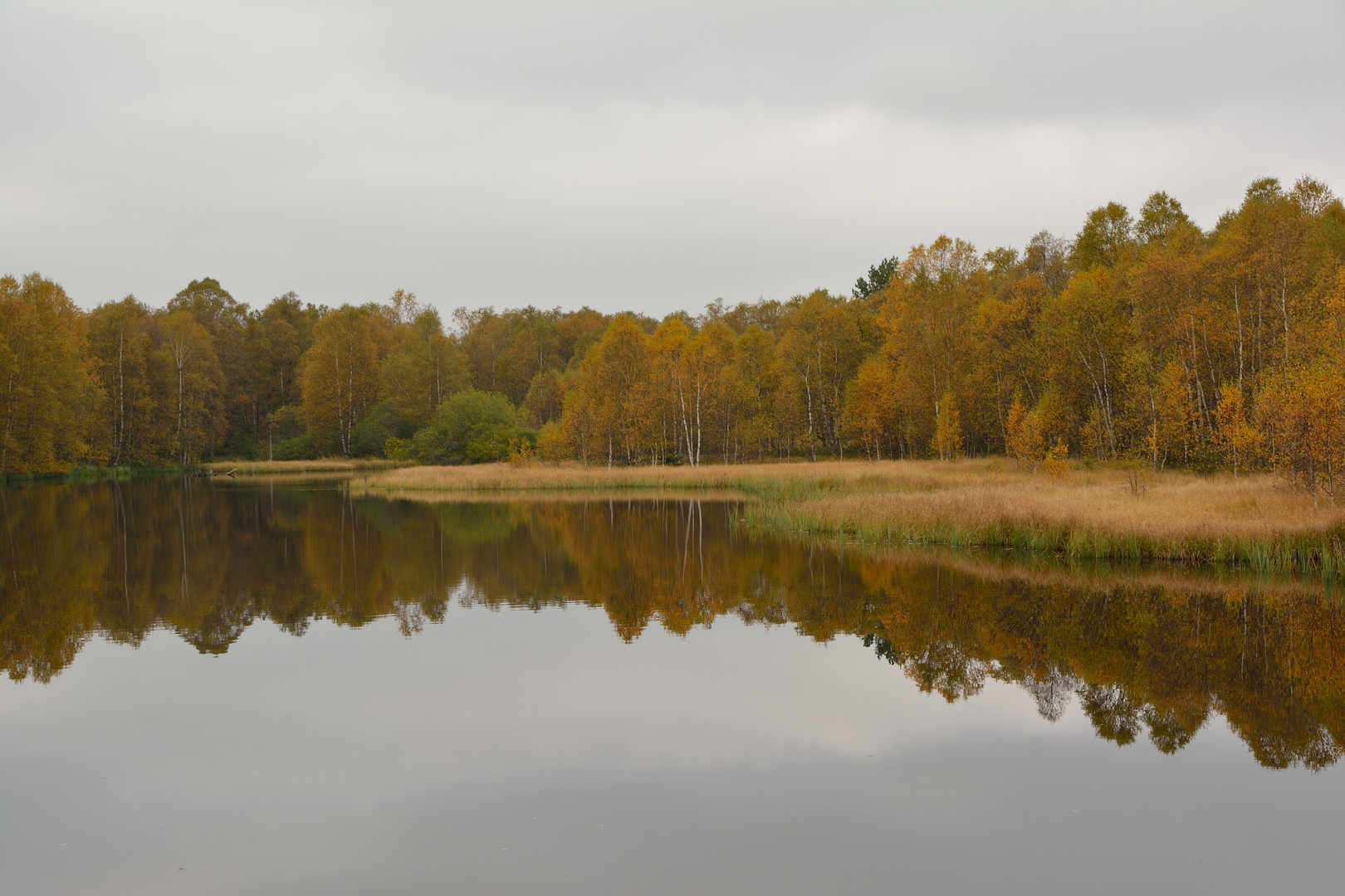 Rotes Moor