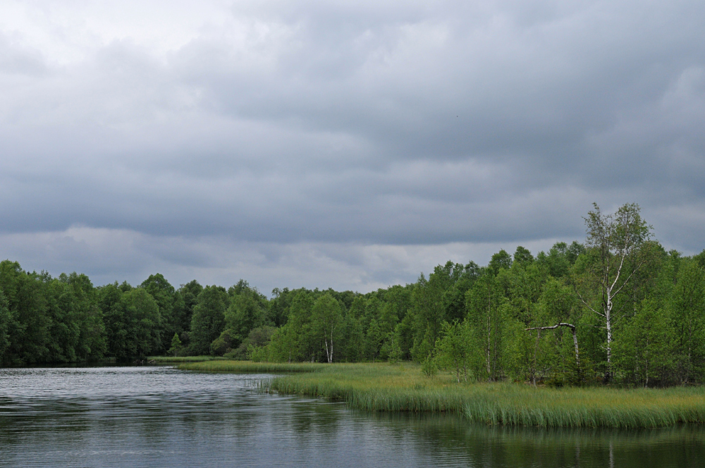 Rotes Moor: Der Moorsee 01