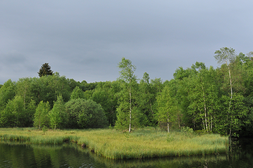 Rotes Moor: Der Moorsee 02