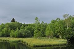 Rotes Moor: Der Moorsee 02