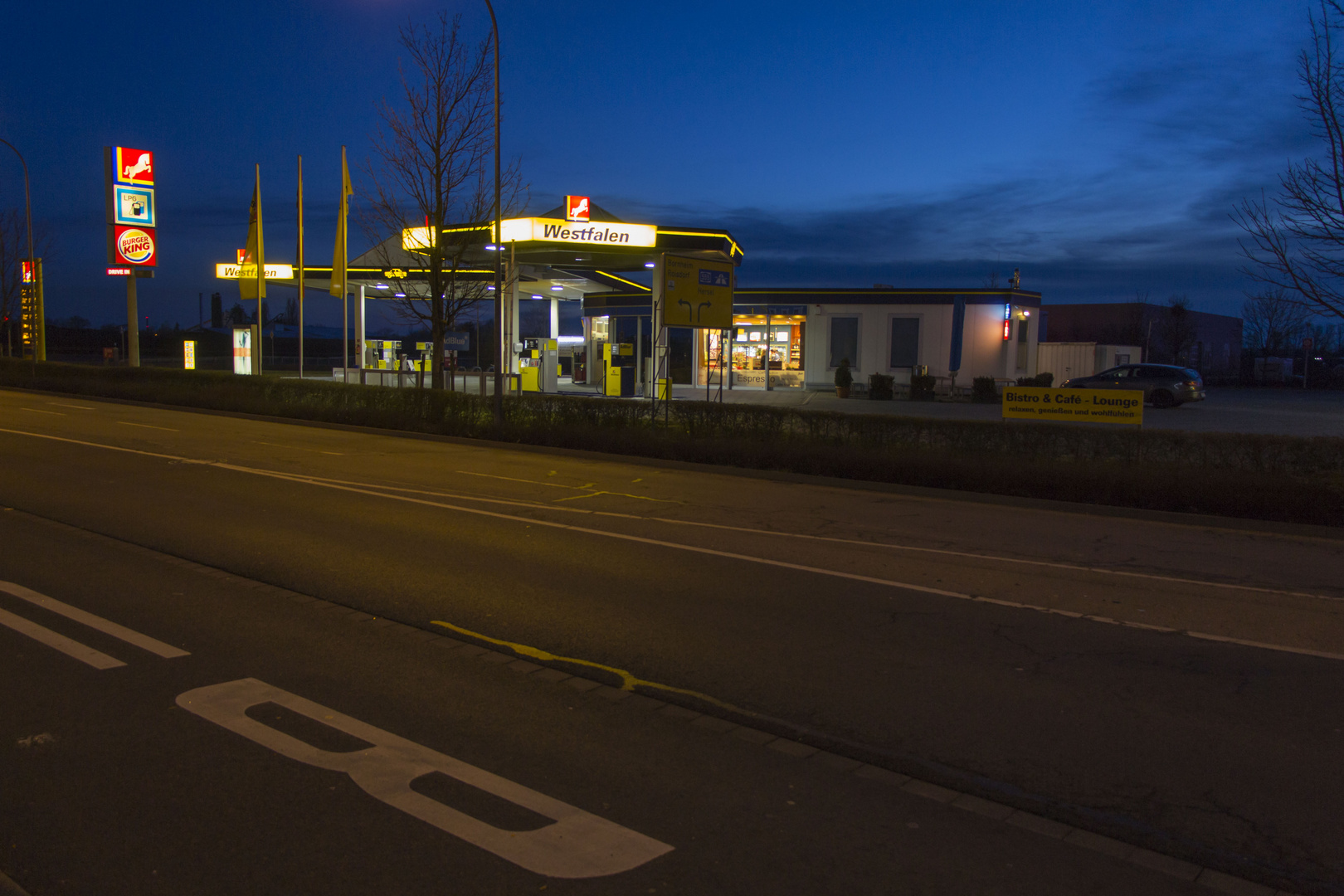 Rotes Pferd vor blauem Himmel