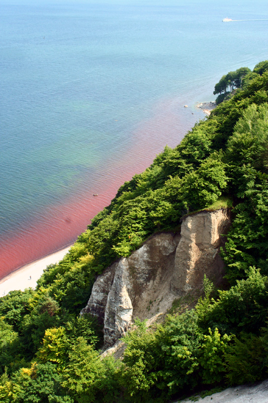 Rotes Rügen