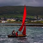 Rotes Segel in Dingle Harbour