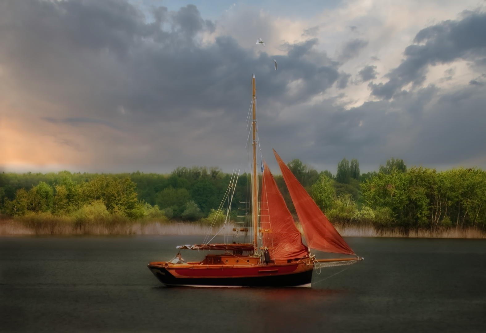 Rotes Segelboot auf dem Senftenberger See