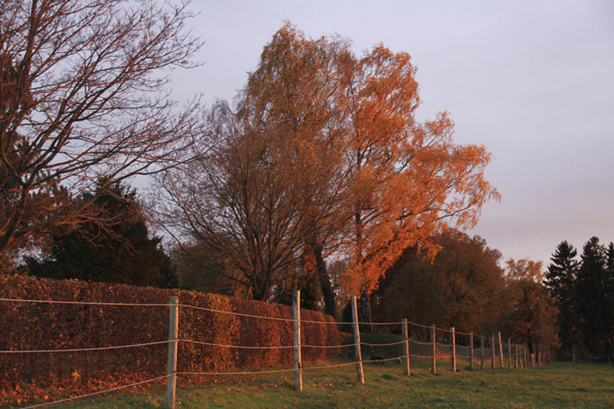 Rotes Sonnenuntergang