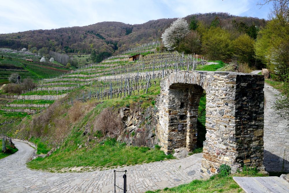 Rotes Tor in Spitz (Wachau)