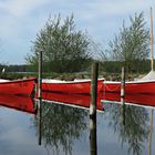 rotes Trio auf dem Großen Plöner See