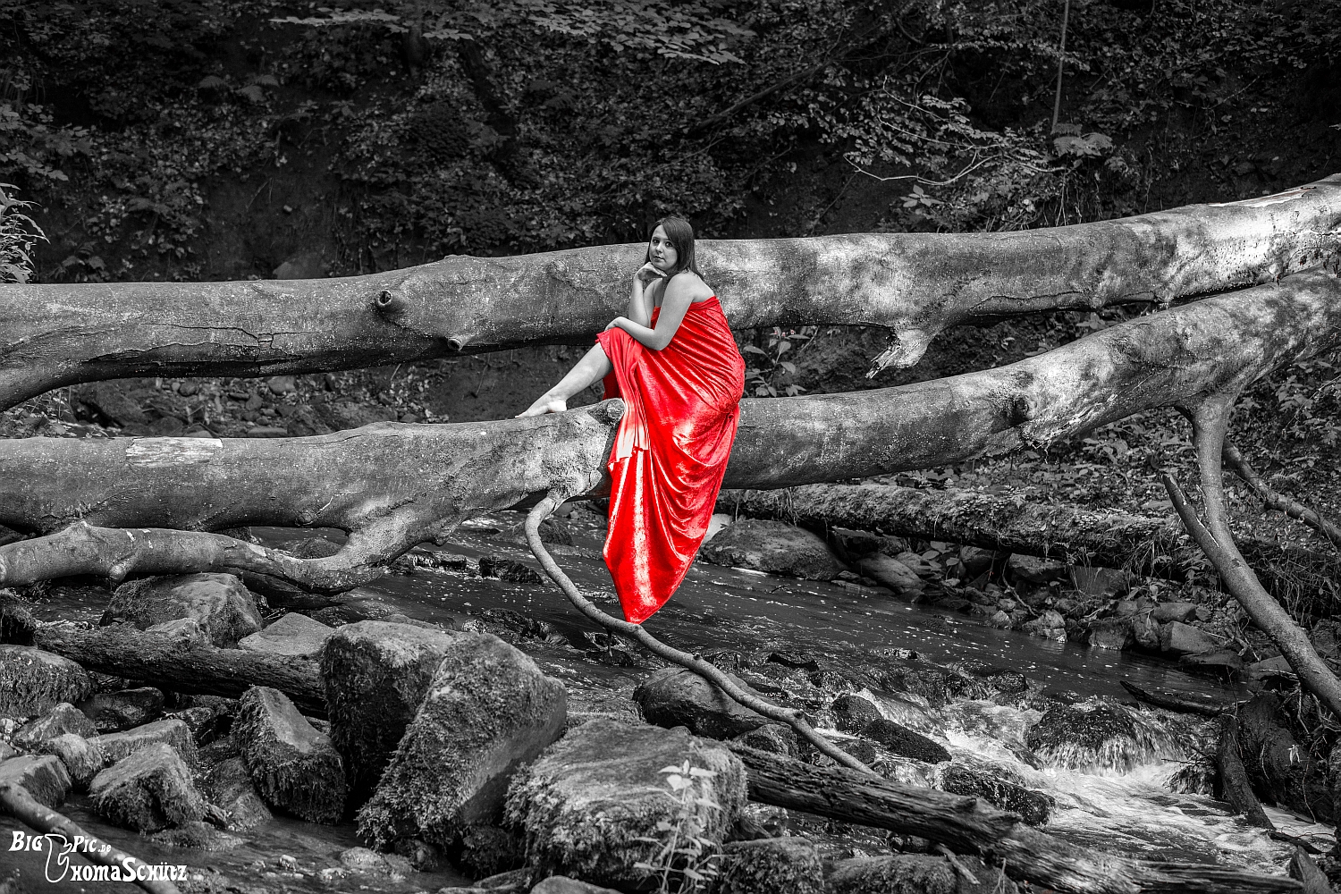 Rotes Tuch im Walde