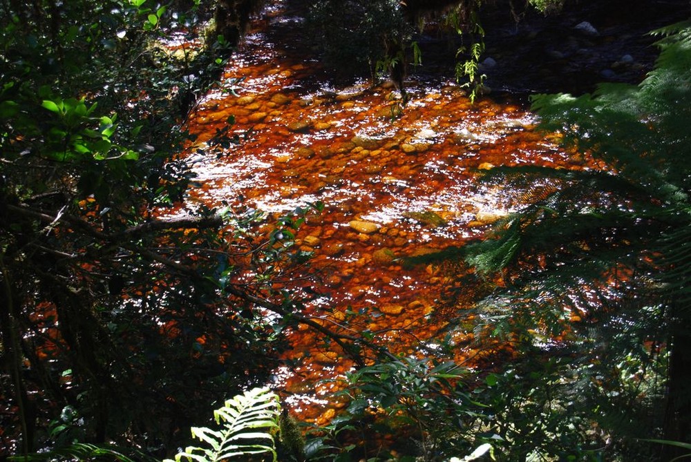 Rotes Wasser im Opera Bassin