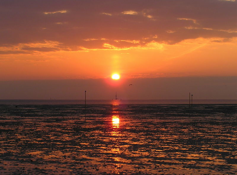 Rotes Wattenmeer