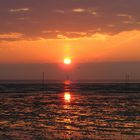 Rotes Wattenmeer