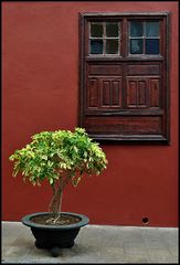 Rot/Grün in Garachico