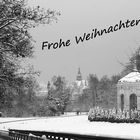 Roth im Schnee