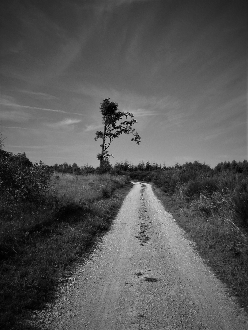 Rothaargebirge