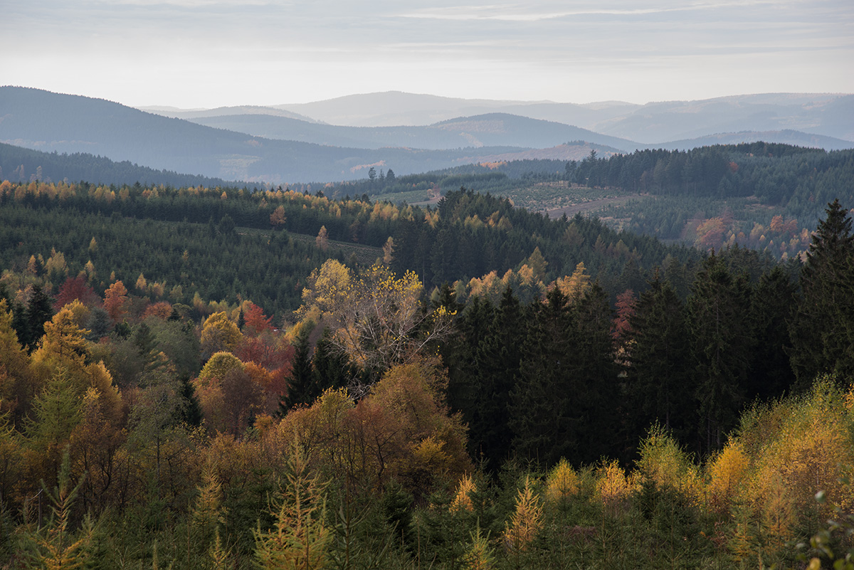 Rothaargebirge