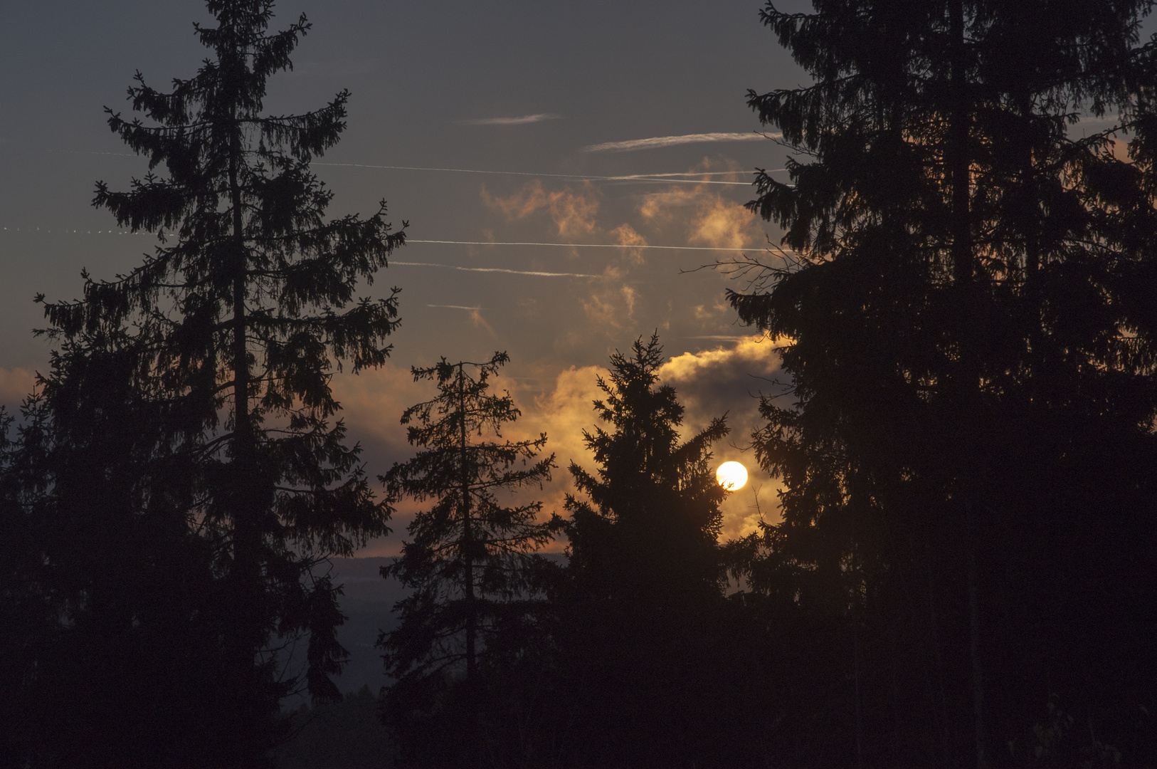 Rothaarsteig am Abend