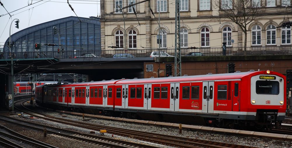 Rothaut mit Bleichgesicht