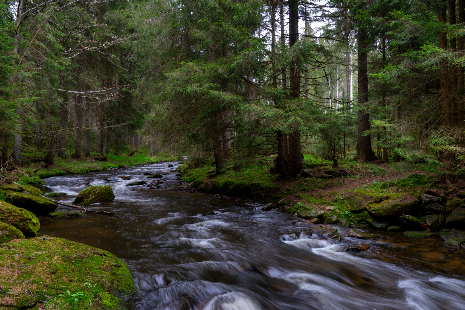 Rothbach im Bayrischen Wald