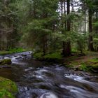 Rothbach im Bayrischen Wald