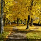 Rothenburg im Herbst