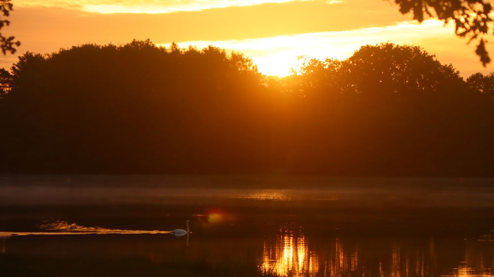 Rothsee beim Sonnenaufgang