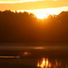 Rothsee beim Sonnenaufgang