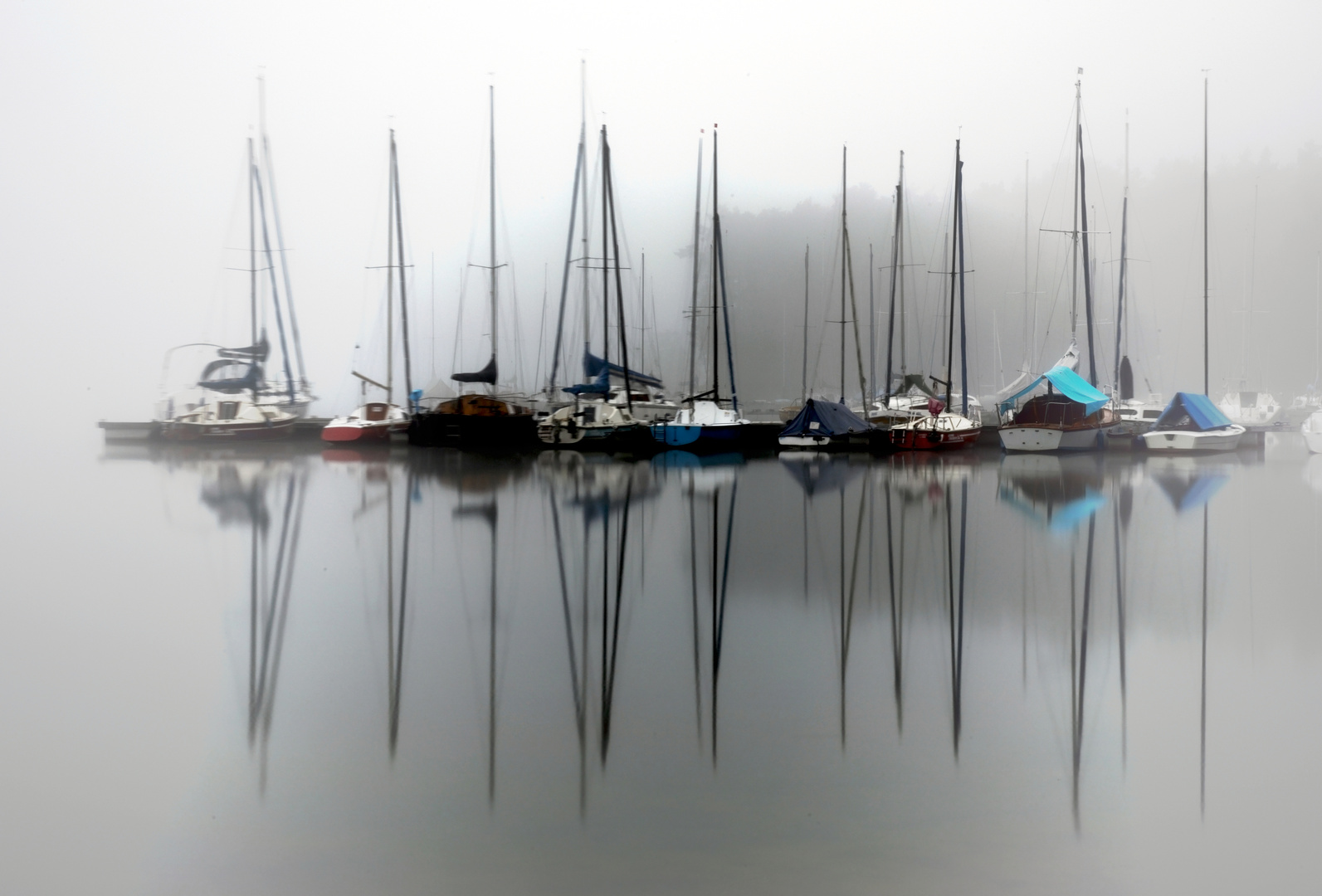 Rothsee im Nebel