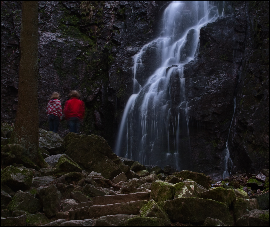 Rotjäckchen am Burgbachwasserfall