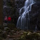 Rotjäckchen am Burgbachwasserfall