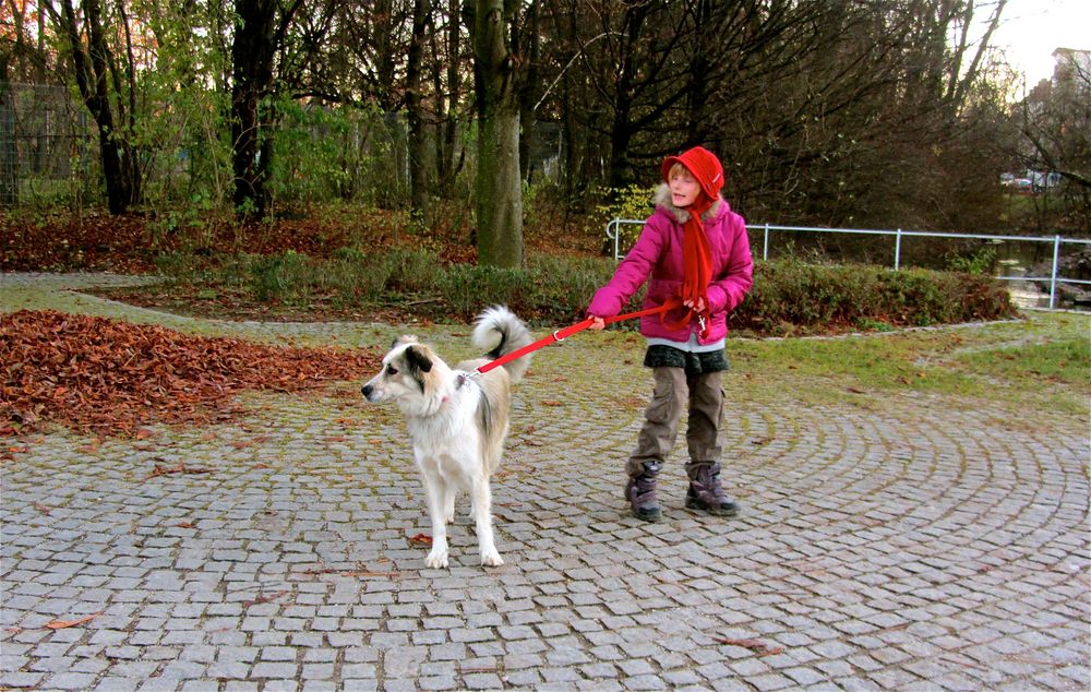 Rotkäpchen und Flecky