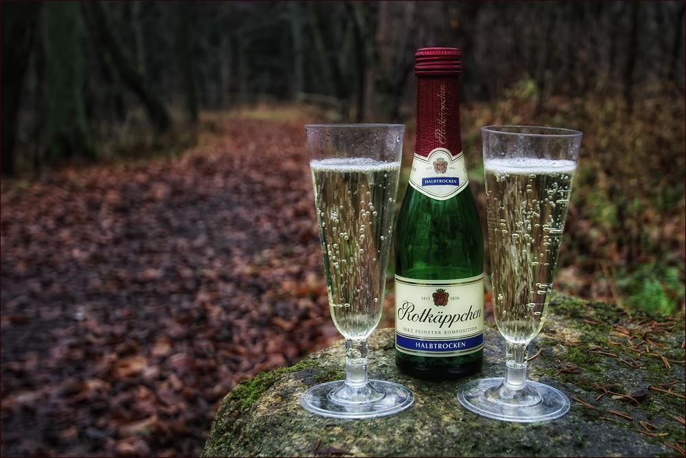 Rotkäppchen allein im Wald