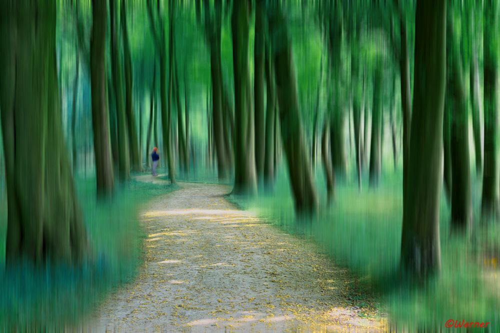 Rotkäppchen allein im Wald