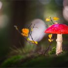 "Rotkäppchen" allein im Wald