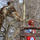 Rotkäppchen auf afrikanisch