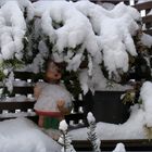 Rotkäppchen-im-Schnee-