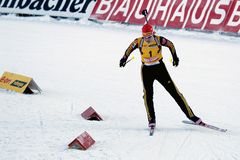 Rotkäppchen in Gelb