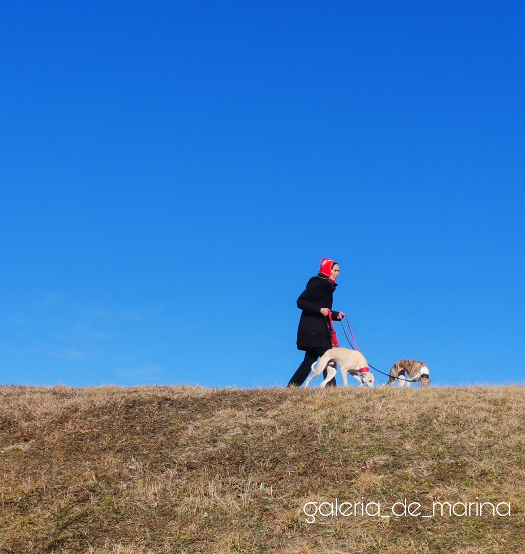 Rotkäppchen mit ihren Hunden 