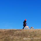 Rotkäppchen mit ihren Hunden 