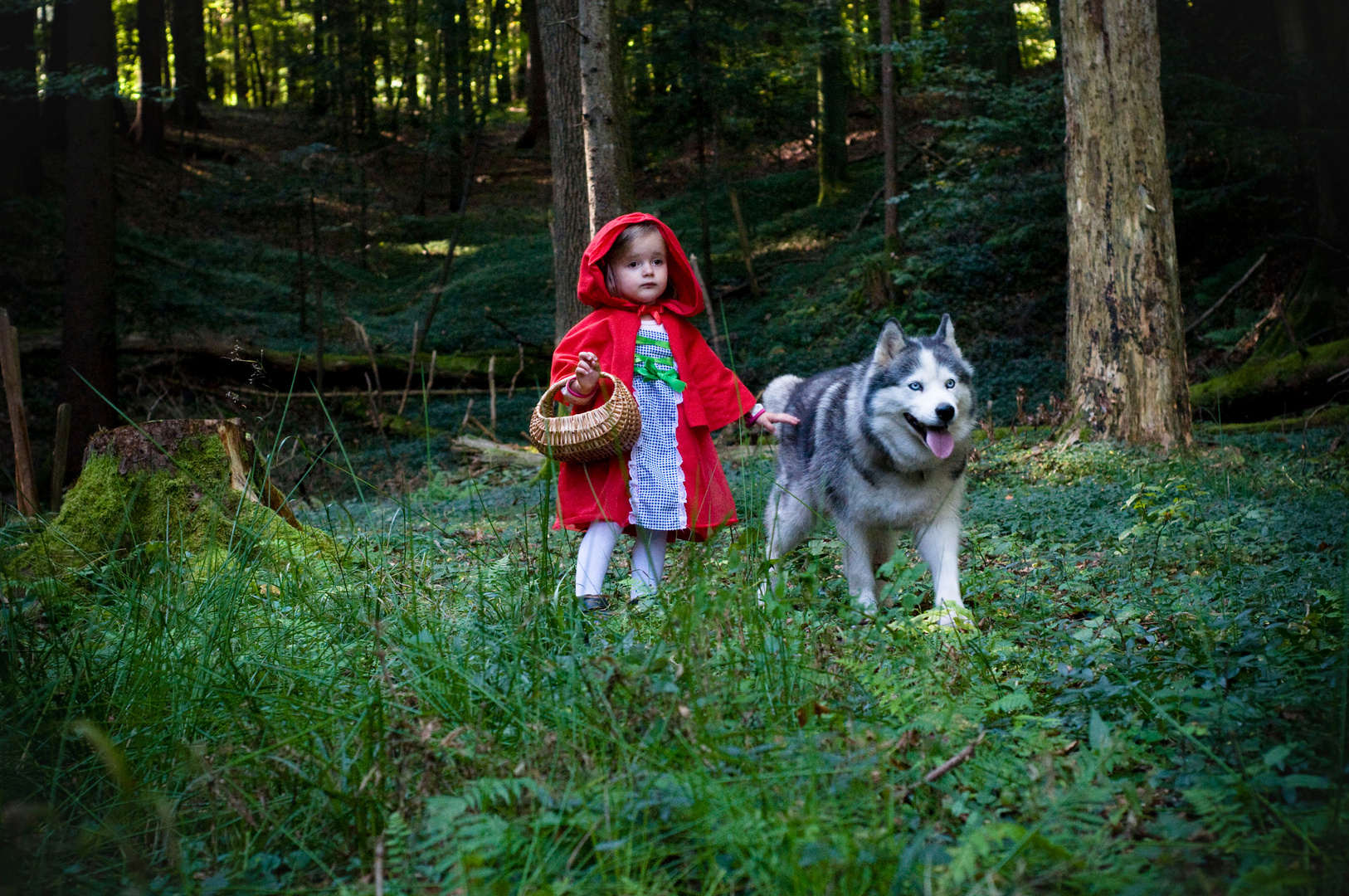 Rotkäppchen und der "böse" Wolf #2