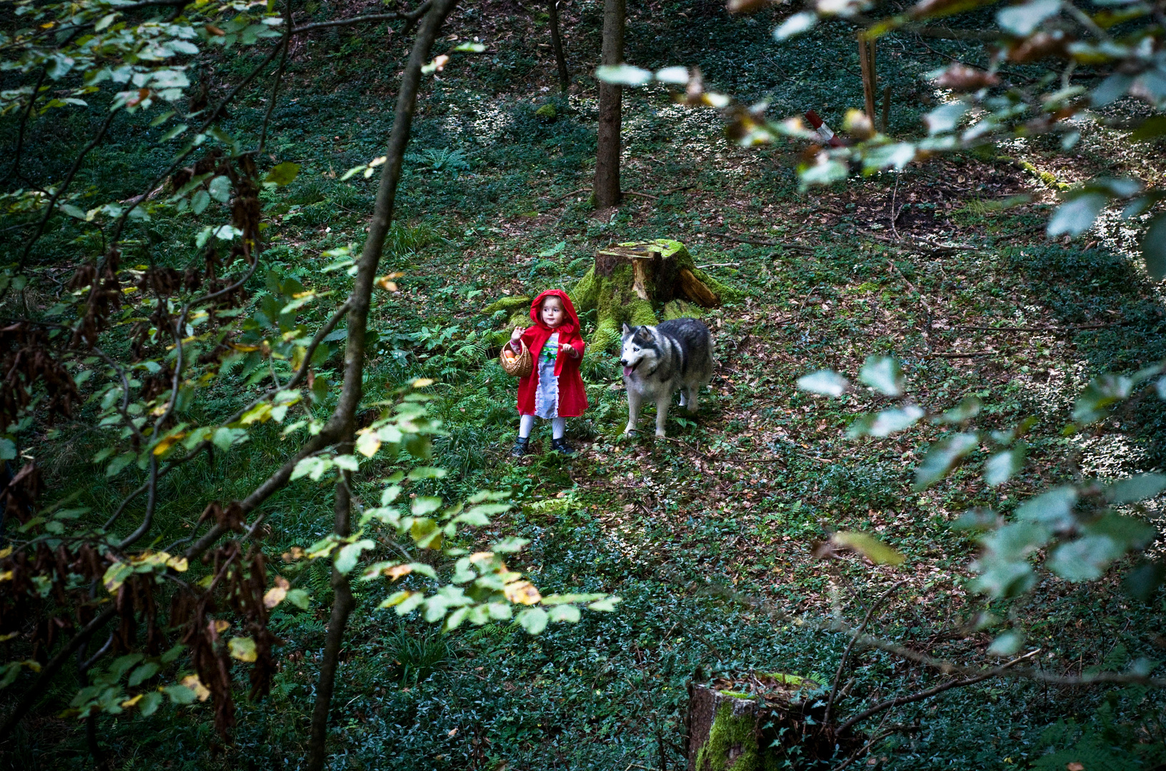 Rotkäppchen und der 