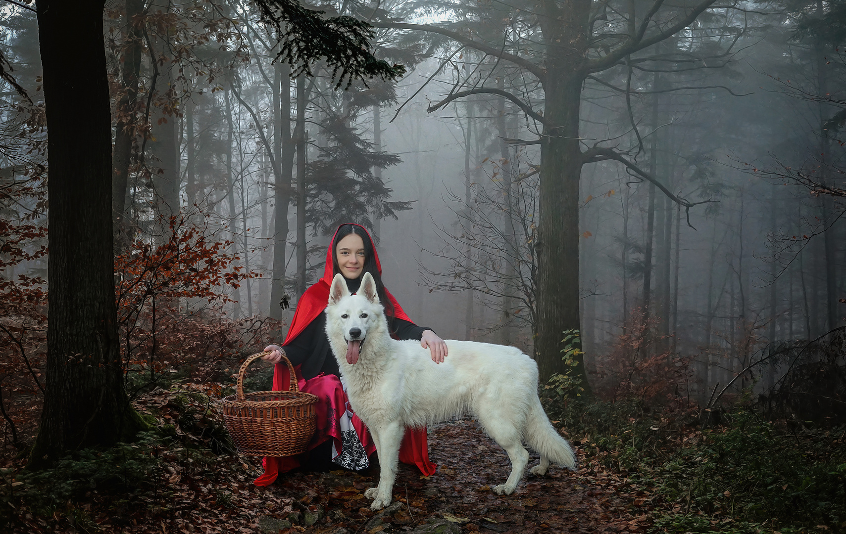 Rotkäppchen und der liebe Wolf...