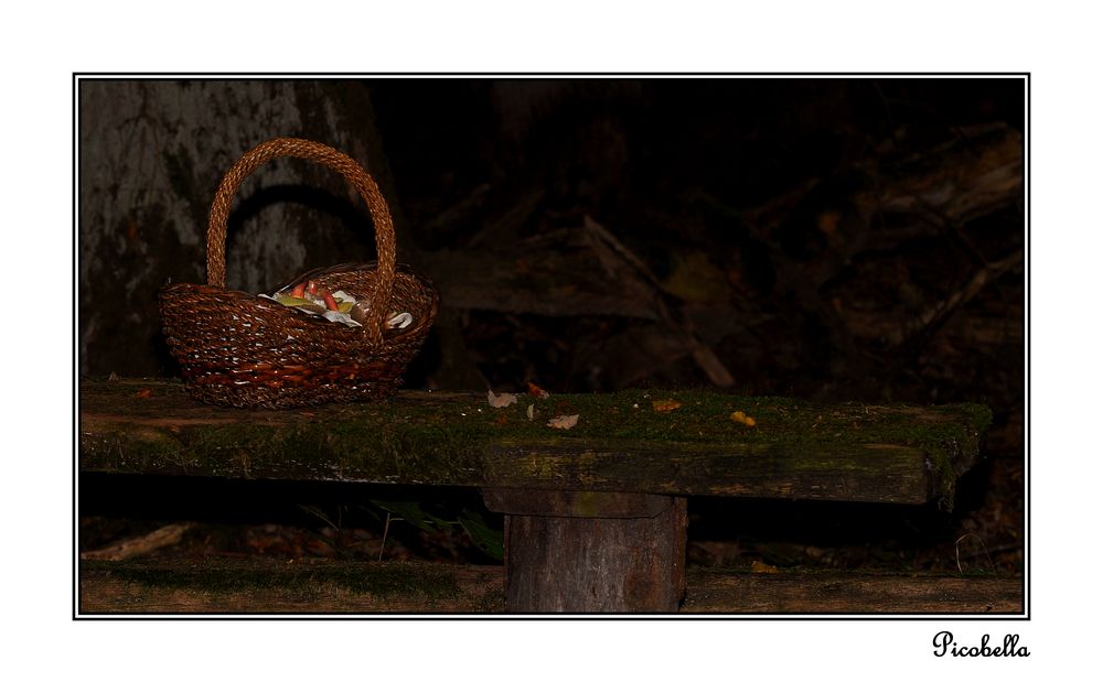 Rotkäppchen war im Wald..... von Picobella 